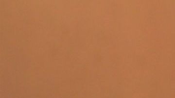 Felipe Calderón y AMLO