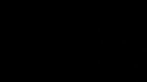 Nissan Z Potro prototipo