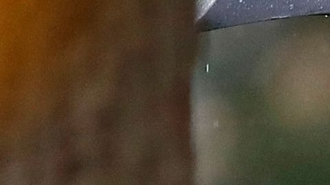 Trump no acudió a uno de los actos de conmemoración de los caídos de EE.UU. por la lluvia.