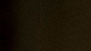 Elon Musk cumplió su palabra y ya comenzó a vender sus lujosas mansiones.