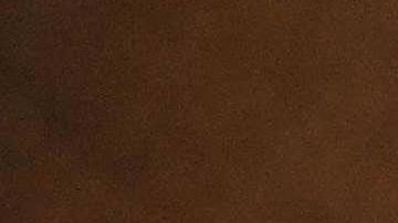 Ayuda económica estímulo economía coronavirus COVID-19 Congreso Senado Republicanos cheques