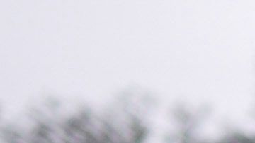 Las temperaturas alcanzaron el récord histórico de 121 grados en algunas zonas del condado de Los Ángeles.