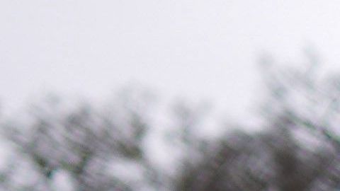 Las temperaturas alcanzaron el récord histórico de 121 grados en algunas zonas del condado de Los Ángeles.