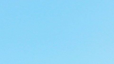 Las personas que no recibirán los $300 dólares extras de beneficios de desempleo