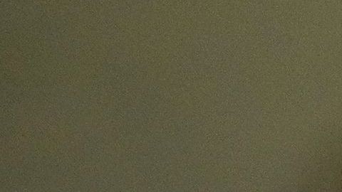 5 grupos de personas que recibirían un segundo cheque de estímulo