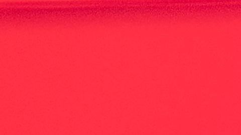 Laurene Powell Jobs.