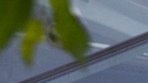 Amazon está ofreciendo 10,000 puestos de trabajo