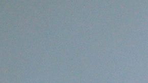 El Censo 2020 no incluye ninguna  pregunta sobre ciudadanía.