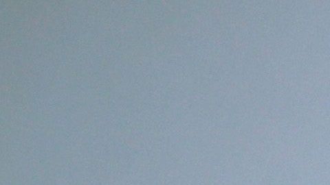 El Censo 2020 no incluye ninguna  pregunta sobre ciudadanía.