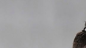 Cristiano Ronaldo en un partido con la Juventus.