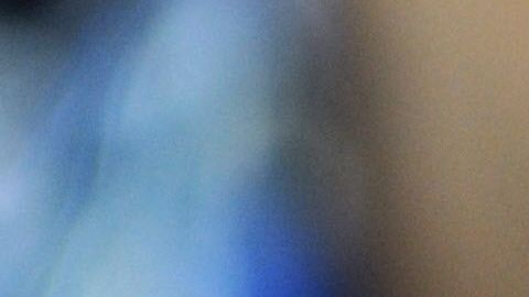 El reparto de los $300 dólares extra de beneficios por desempleo podría retrasarse para algunos estados