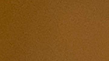 El censo determina el reparto de fondos federales y el trazado de los distritos electorales.