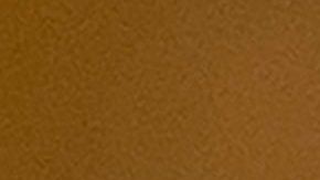 El censo determina el reparto de fondos federales y el trazado de los distritos electorales.