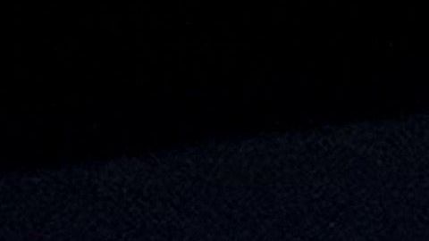 La pareja Biden-Harris camino a la Casa Blanca tiene mayor respaldo entre hispanos.