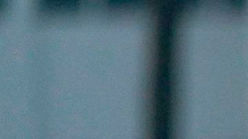 Activistas buscan asegurar que la mayoría de los votantes puedan ejercer su derecho.