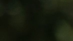 Grupos que podrían ser excluidos en caso de aprobarse un segundo cheque de estímulo bajo las reglas de la Ley CARES.