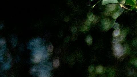 El abogado de Blake elogió la visita y la actitud de Biden.