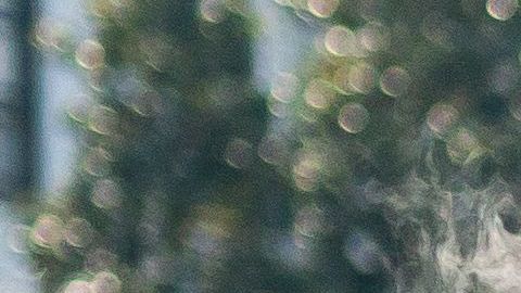 Los ultraderechistas echaron gas pimienta contra hombre desnudo.