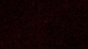 Bomberos de Butte ven levantarse una torre de fuego ante ellos.