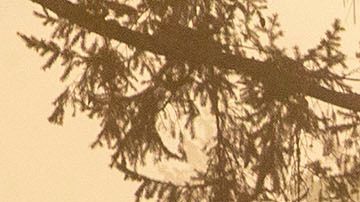 Se han registrado 33 muertes como consecuencia de los incendios.