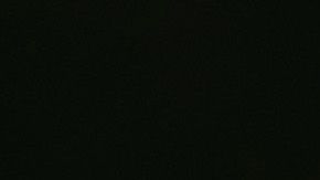 Biden asegura que luchará para asegurarse "cada voto latino o hispano"