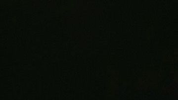 Biden asegura que luchará para asegurarse "cada voto latino o hispano"