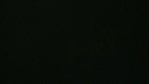 Biden asegura que luchará para asegurarse "cada voto latino o hispano"