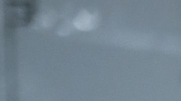 Trump y el gobernador de California Gavin Newsom.