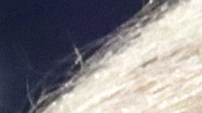 Biden critica a Trump en un momento de baja aprobación para el presidente.