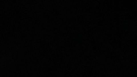 Sporting-Kansas-City-Alan-Pulido