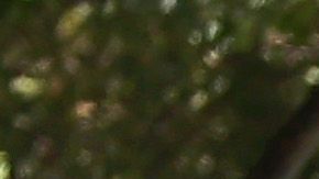 El precio del combustible durante el fin de semana del Día del Trabajo el más bajo desde 2004