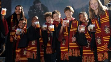 Warner Bros. está vendiendo en línea cerveza de mantequilla de Harry Potter