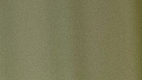 El nombramiento de Cecilia Muñoz pone de relieve diferencias ideológicas dentro del partido demócrata.