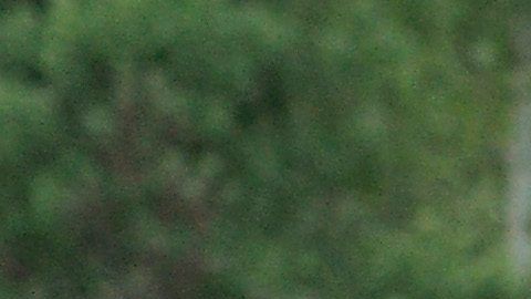 MacKenzie Scott la mujer más rica del planeta