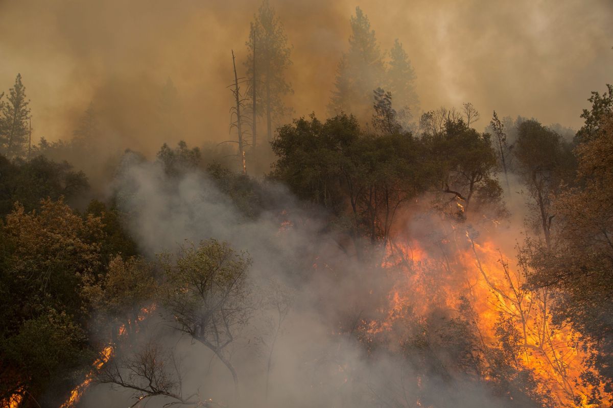 California padece fuertes incendios forestales prácticamente cada año.