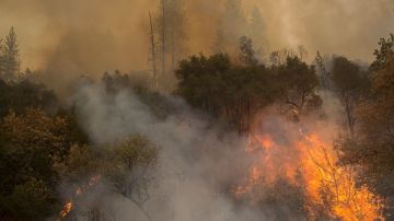 California padece fuertes incendios forestales prácticamente cada año.
