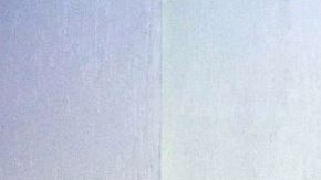 Suzy Cortés, la famosa modelo Miss BumBum.