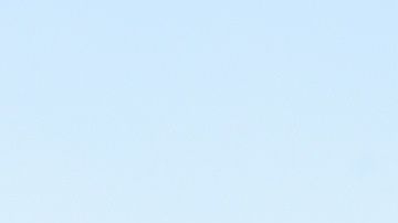 El Departamento del Sheriff informó que se encuentra investigando el suceso.