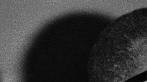 António Agostinho Neto.