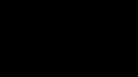 Julio César Chávez Jr.