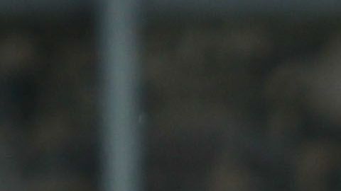 Norma Palafox pone ambiente en el equipo.