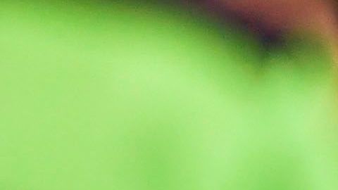 Aldo Rocha anotó el autogol.