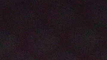 Las Águilas saltaron a la lucieron una camiseta especial.