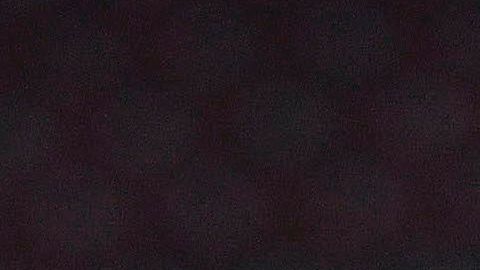 Las Águilas saltaron a la lucieron una camiseta especial.