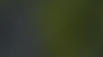 Henry Martin lleva cuatro goles en el Guard1anes 2020.