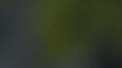 Henry Martin lleva cuatro goles en el Guard1anes 2020.