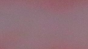 Raúl Gudiño sería el sustituto de Rodríguez.