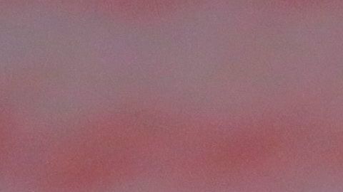 Raúl Gudiño sería el sustituto de Rodríguez.