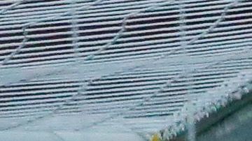 Toño Rodríguez fue reprobado por la afición.