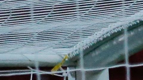 Toño Rodríguez fue reprobado por la afición.